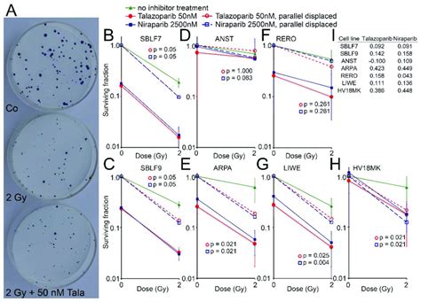 Colony Formation Assay After Combined Parpi Plus Ir Treatment A Download Scientific Diagram