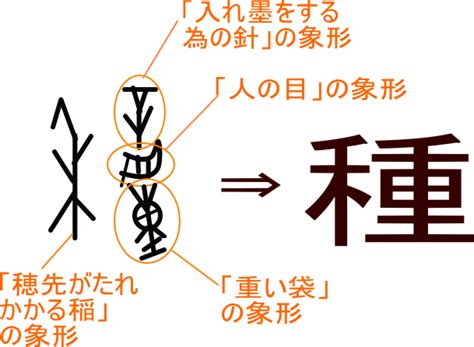 「種」という漢字の意味・成り立ち・読み方・画数・部首を学習