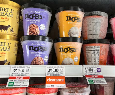 Noosa Frozen Yoghurt Gelato Just At Publix Iheartpublix