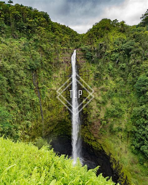 Akaka Falls Waterfall Photography Akaka Falls State Park - Etsy