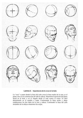 Descubrir M S De Estructura Del Rostro Dibujo Mejor Camera Edu Vn