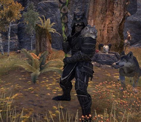 Eso Werewolf Stamina Sorcerer Dps Pve Build High Ground Gaming