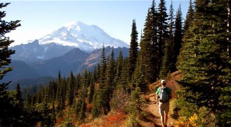 Best Fall Hikes In Washington Best Places To Visit