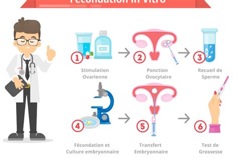 Fiv D Finition Et Tapes De La F Condation In Vitro Wistim