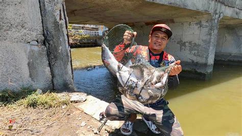 Mancing Strek Bertubi Tubi Sampai Semua Pemancing Dapat Ikan Besar