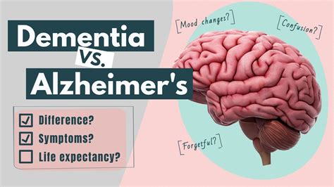 Whats The Difference Between Dementia And Alzheimers — 42 Off