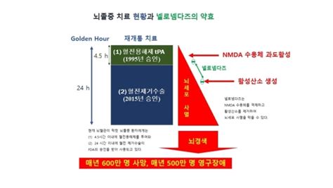 지엔티파마 뇌졸중 치료제 넬로넴다즈 미국 특허출원