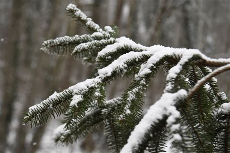 M T O Neige Verglas La Loire La Haute Loire Et L Is Re En Vigilance