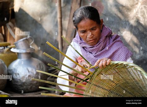 Woman Is Weaving Basket Of Bamboo Village Khrang Khasi Hills State