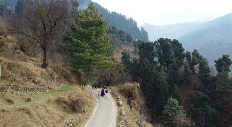 Kullu: Hallan Village Day Tour with White Water Rafting | GetYourGuide