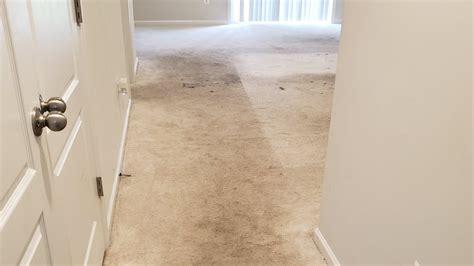 Can This Extremely Filthy Carpet Be Cleaned Very Dirty Carpet