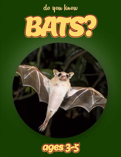 Bat Facts For Kids Pdf