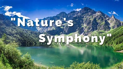 Nature S Symphony Youtube