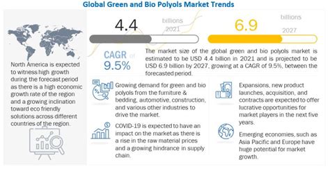 Green And Bio Polyols Market Size Industry Share Growth Forecast