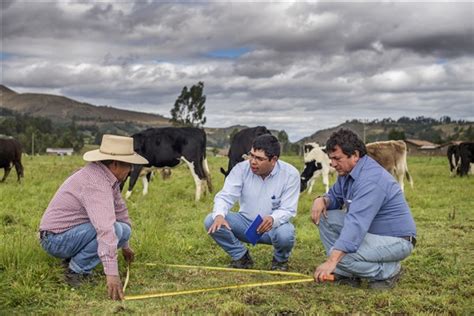 La Planta De Cajamarca De Nestl Que Cumple A Os Serperuano