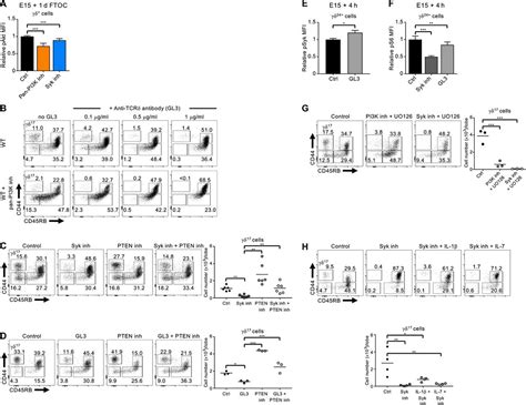 Constrained Tcrγδ Associated Syk Activity Engages Pi3k To Facilitate