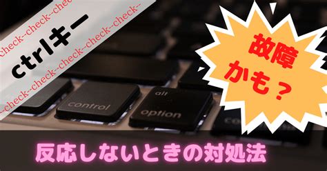 ctrl効かない反応しないからゲーミングキーボードに変更 ぶろぐしる