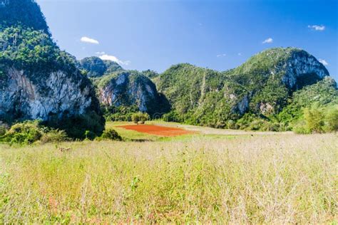 Colina Y Campos De La Piedra Caliza De Mogotes En El Valle De Vinales