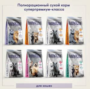 Оптимальное питание для стерилизованной кошки.: Отзывы о Корм для кошек ...