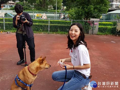 給毛寶貝溫暖 凱渥名模板橋動物之家一日志工體驗 Enews新聞網