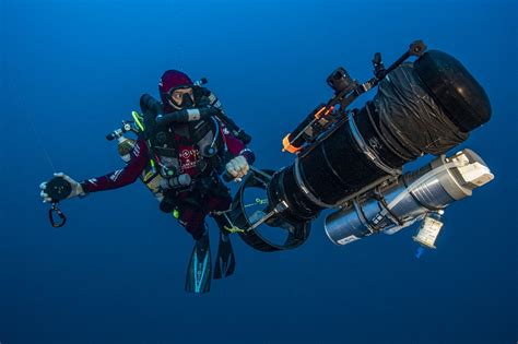 Un nouveau paradoxe de la conservation dans les réserves marines