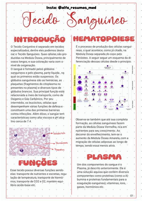 SOLUTION Histologia Tecido Sangu Neo 231212 143727 Studypool