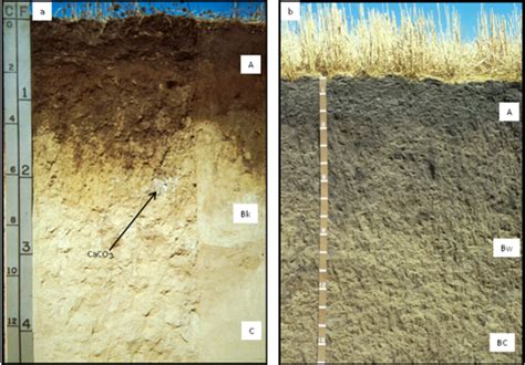 Examples Of Mollisols Grassland Soils Formed From Loess Learn