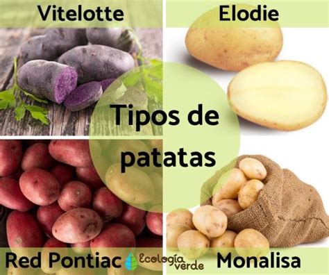 Tipos De Patatas