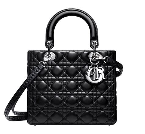 The Lady Dior Pictures Only Cartera De Moda Carteras Cartera