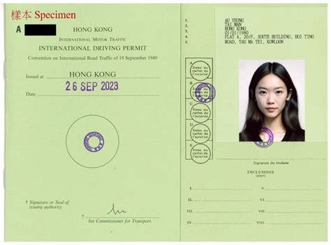 Hongkongers Can Now Apply For International Driving Permits Online