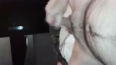 Free Jerking Off In Bed Gay Porn Videos Xhamster