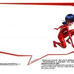 Plaquinhas Divertidas Miraculous Ladybug