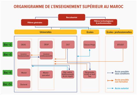 Enseignement supérieur au Maroc Une diversité de formations et d