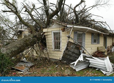 Maison Détruite Par L'arbre En Baisse Photo stock - Image du foncé, vieux: 17186982