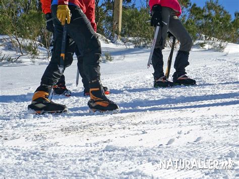 Curso Monta Ismo Invernal Iniciacion Nivel I Nieve En Asturias