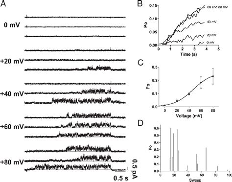 Figure From Single Channel Basis For The Slow Activation Of The