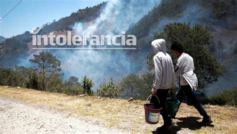 Atacan por siete frentes el incendio forestal en Zacatlán