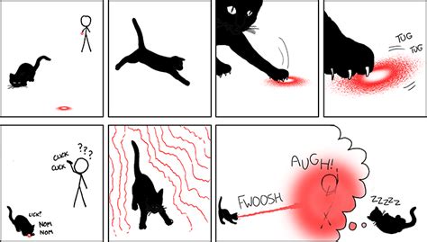 Laser Pointer Cat