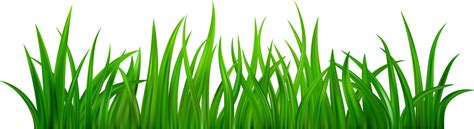 Grass Cartoon Pngs For Free Download