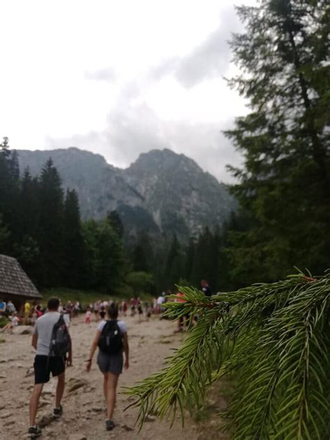 Zakopane Z Dzie Mi Dziubdziak Pl