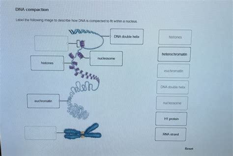 How To Label Dna Best Label Ideas