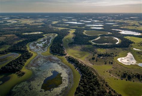 Pantanal Poder Ter Crise H Drica Hist Rica Em Revista Campo