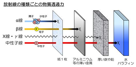 外部被ばくと内部被ばく 放射線の基礎知識 長瀬ランダウア株式会社