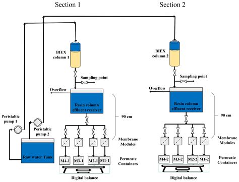 Membranes Free Full Text Impact Of Cleaning On Membrane Performance