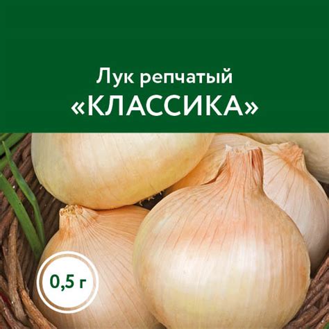 Лук репчатый «Классика» – купить саженцы оптом и в розницу – питомник ...
