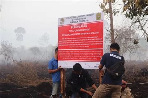 Hentikan Karhutla Gakkum KLHK Segel Lokasi Karhutla Pada 4 Perusahaan