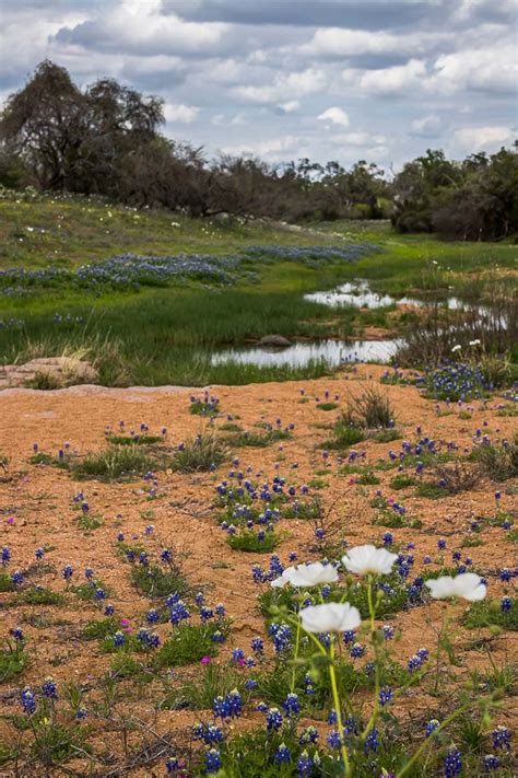 Texas Hill Country Hikes With The Best Views