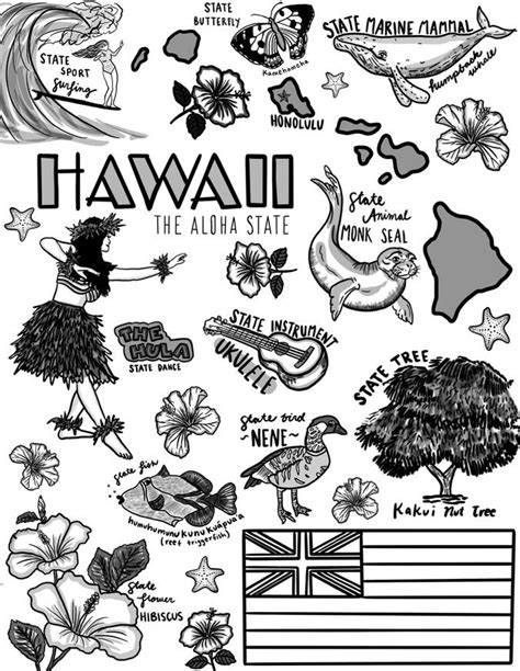 Hawaii Coloring Page Etsy