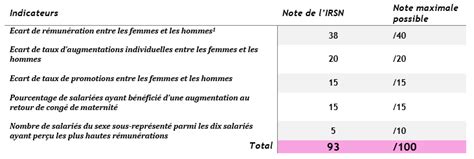 Index de l égalité entre les Femmes et les Hommes l IRSN publie sa