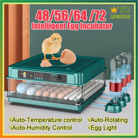 Year Warranty Egg Incubator Eggs